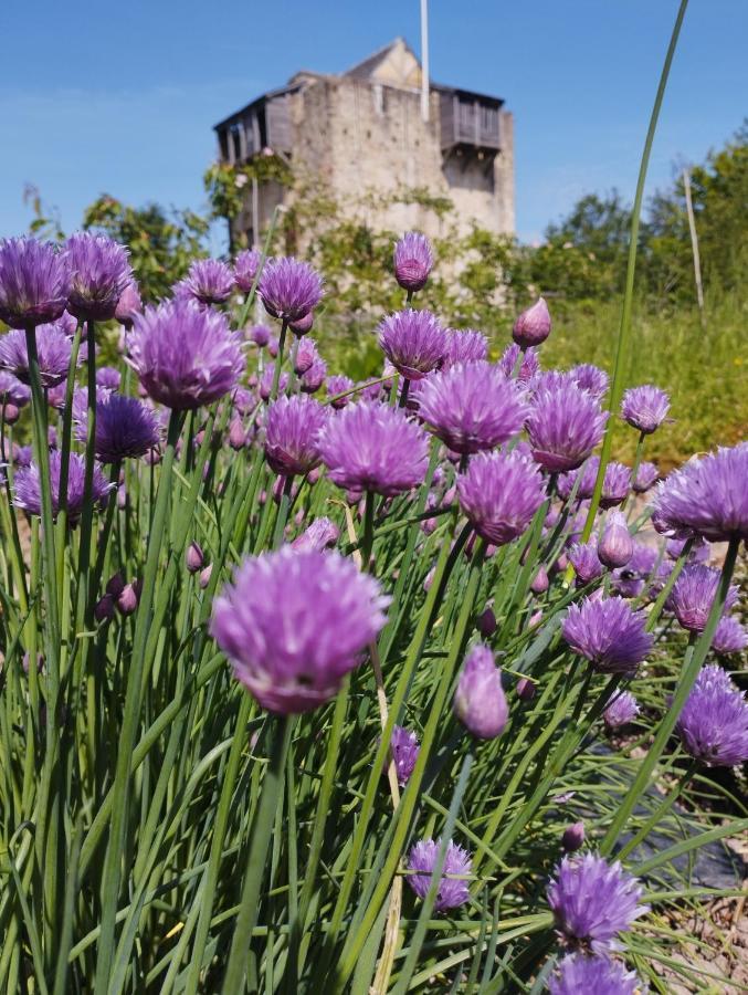 Отель Domaine De La Ferte Clairbois Sainte-Suzanne  Экстерьер фото