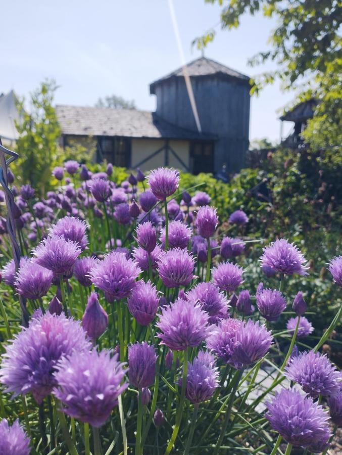 Отель Domaine De La Ferte Clairbois Sainte-Suzanne  Экстерьер фото